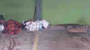Reprodução / YouTube