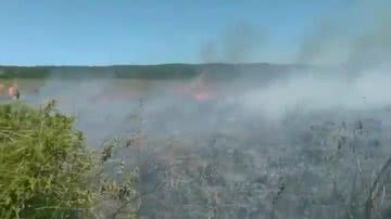 Reprodução/Corpo de Bombeiros