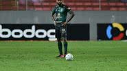 Mourão Panda/América Mineiro