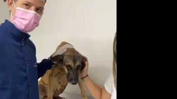 Reprodução/ Redes Sociais