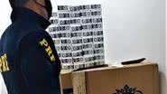 Reprodução/ Polícia Rodoviária Federal