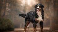 xkunclova / Shutterstock.com