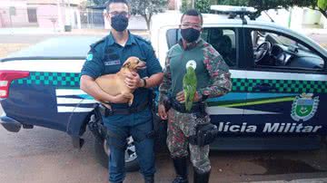 Divulgação / Mato Grosso do Sul