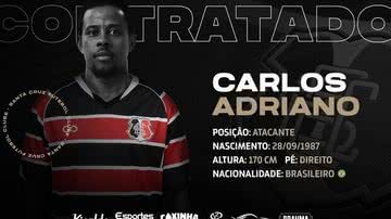 Divulgação
