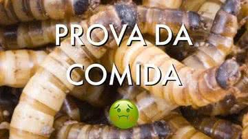 Reprodução / Instagram