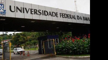 Divulgação