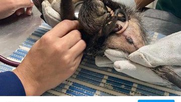 Reprodução/Instagram