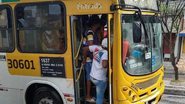Arquivo Bnews