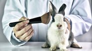 iStock / Getty Images Plus/Getty Images