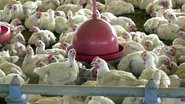 Arquivo/Agência Brasil