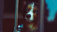 Reprodução / Pinterest