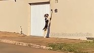 Reprodução