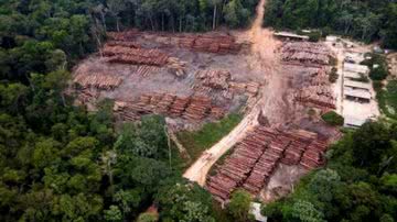 PF via Amazonia Real/Fotos Públicas