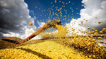 Divulgação/Confederação da Agricultura e Pecuária do Brasil (CNA)