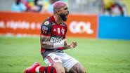 Alexandre Vidal/Flamengo