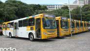 Arquivo Bnews