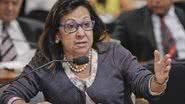 José Cruz/Agência Senado