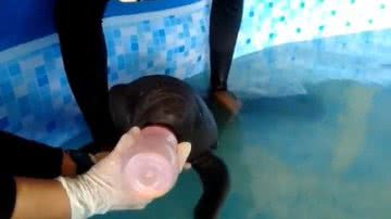 Reprodução/Facebook