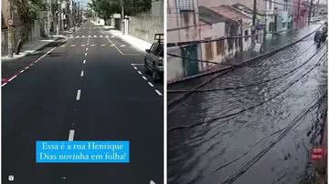Reprodução