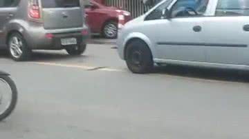 Leitor BNews