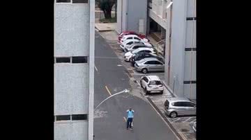 Divulgação
