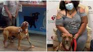 Reprodução/Gateway Pet Guardians