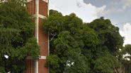 Reprodução/ Google Street Views
