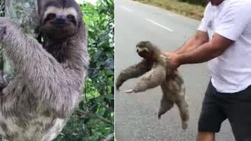 Reprodução/ Redes sociais