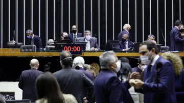 Najara Araújo/Câmara dos Deputados