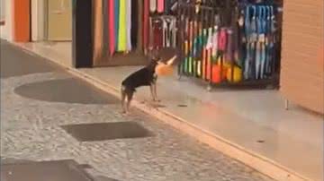 Reprodução/Redes sociais
