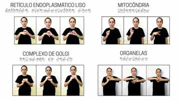 Reprodução