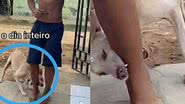 Reprodução/TikTok