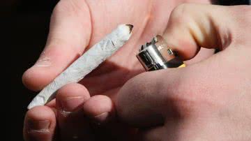 Imagem Venda de maconha é liberada no Uruguai