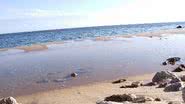 Imagem Cinco praias devem ser evitadas neste fim de semana