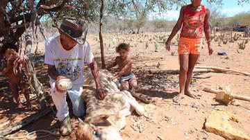 Imagem Seca gera guerra por água no sertão do Nordeste