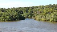 Imagem Petrobras patrocina projeto ambiental em Praia do Forte