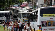 Imagem Rodoviários reivindicam melhorias nos terminais