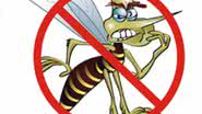 Imagem Pernambuco no combate à dengue