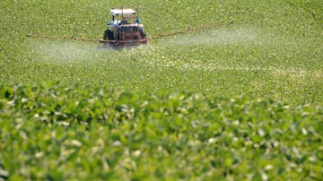 Agricultura RS/ Fernando Dias