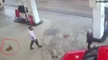 Reprodução