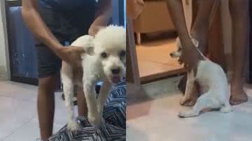 Reprodução/TikTok