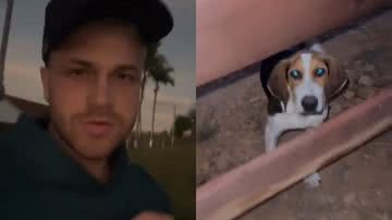 Reprodução/TikTok @tiktokdosagroboy
