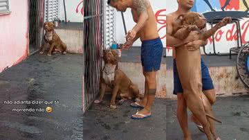 Reprodução / TikTok