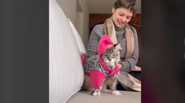 Imagem Gata fica “dura” após usar roupa de frio; veja vídeo e entenda