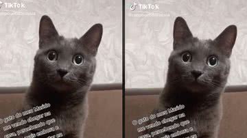Reprodução / Tik Tok
