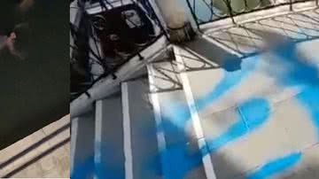 Reprodução