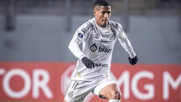 Raul Baretta / Divulgação / Santos FC