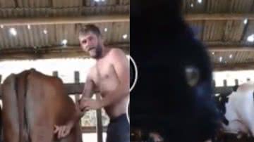 Reprodução/ Tik Tok
