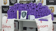 Divulgação / Polícia Civil