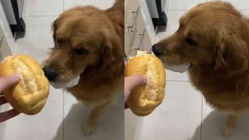 Reprodução/TikTok @pedromurtabarreto